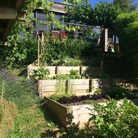 Les Terrasses De *