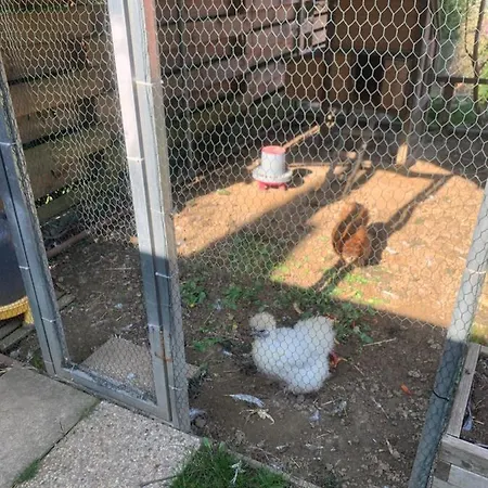 Bed & Breakfast Les Terrasses De