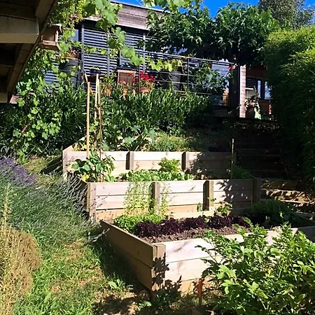 Bed & Breakfast Les Terrasses De