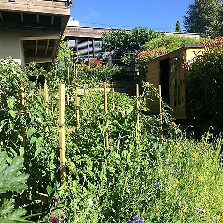 Les Terrasses De Bed & Breakfast Rochetaillée